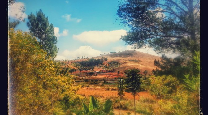 Back from Madagascar